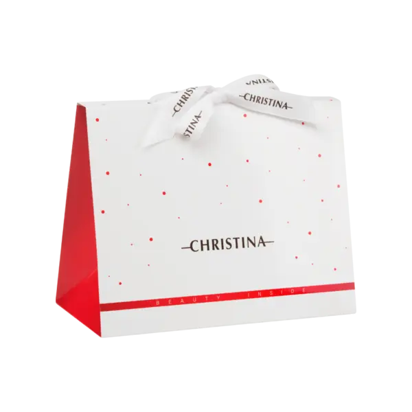 CHRISTINA Подарочная коробка «Сумочка» 230*110*180