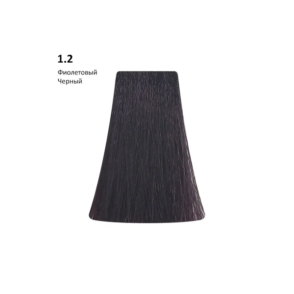 Купить 1.2 Violet Black, Фиолетовый черный Colour Range AMMONIA FREE, 100 мл PICASSO 1.2 Violet Black, Фиолетовый черный Colour Range AMMONIA FREE, 100 мл