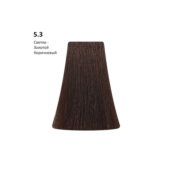 PICASSO 5.3 Light Golden Brown, Светло-золотой коричневый AMMONIA FREE, 100 мл