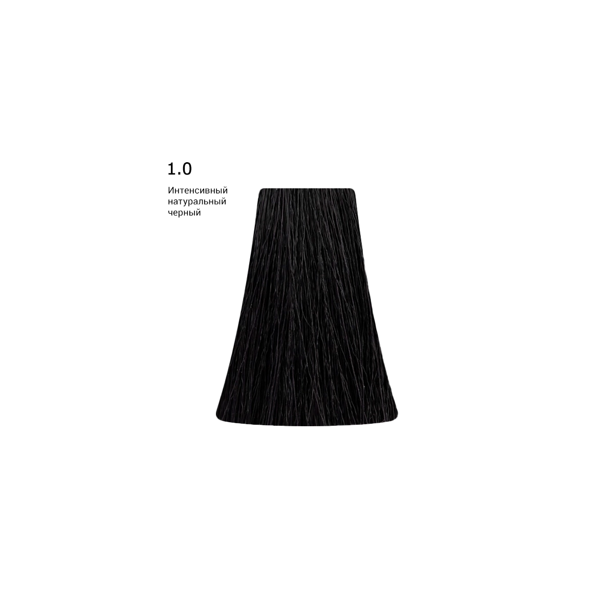 Купить 1.0 - Intense Natural Black/Интенсивный натуральный черный, 100 мл PICASSO 1.0 - Intense Natural Black/Интенсивный натуральный черный, 100 мл