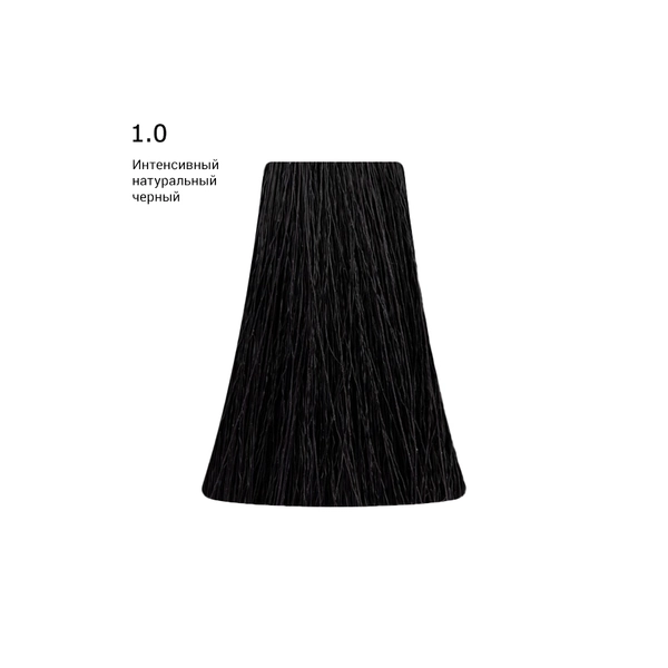 Купить 1.0 - Intense Natural Black/Интенсивный натуральный черный, 100 мл PICASSO 1.0 - Intense Natural Black/Интенсивный натуральный черный, 100 мл