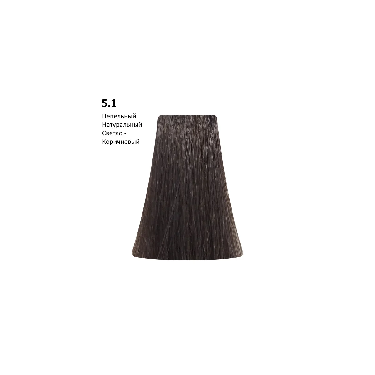 PICASSO 5.1 - ASH Naturals/Пепельный натуральный светло-коричневый, 100 мл