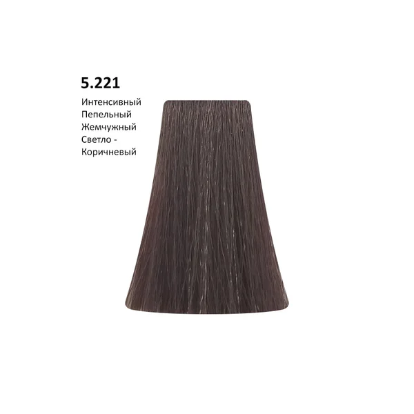 PICASSO 5.221 - Intense ASH Pearl/Интенсивный пепельно-жемчужный светло-коричневый, 100 мл