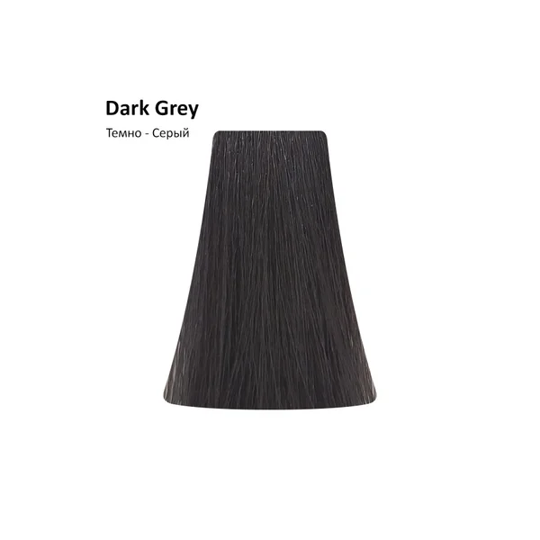 PICASSO Dark Grey/Тёмно-серый Корректор, 100 мл