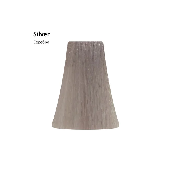 PICASSO Silver/Серебро Корректор, 100 мл